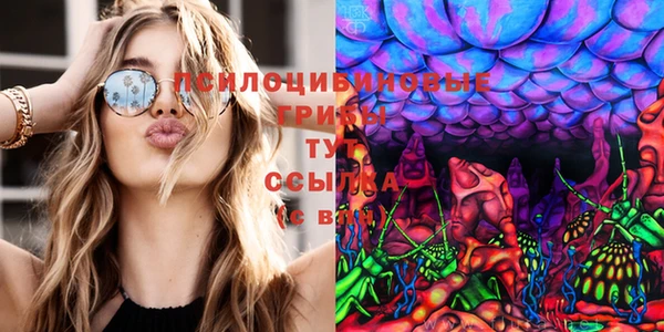 молекула духа Мегион