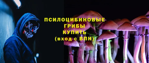 mdma Медвежьегорск