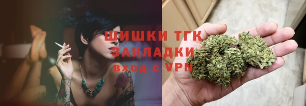 молекула духа Мегион
