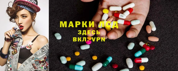 молекула духа Мегион