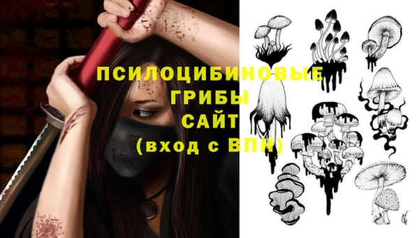 mdma Медвежьегорск