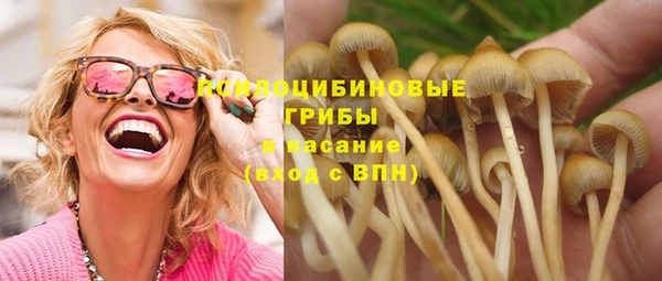 2c-b Михайловск