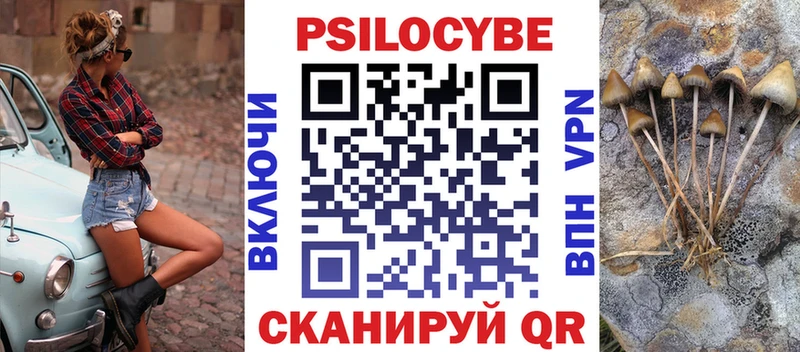 Галлюциногенные грибы мухоморы  мега как войти  Судогда  где купить наркотик 